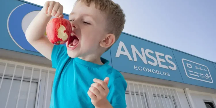 Anses confirmará el pago de la Tarjeta Alimentar en diciembre: ¿cuánto se cobrará?