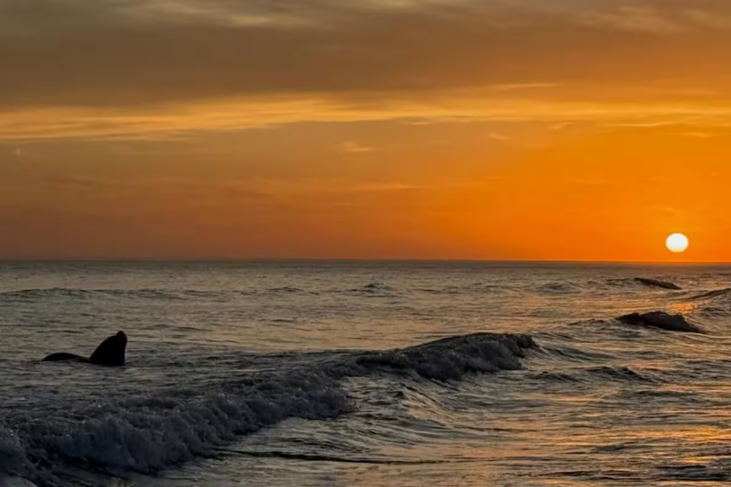 Pehuen Có: el rincón escondido en la Provincia que deslumbra con atardeceres únicos