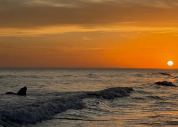 Pehuen Có: el rincón escondido en la Provincia que deslumbra con atardeceres únicos