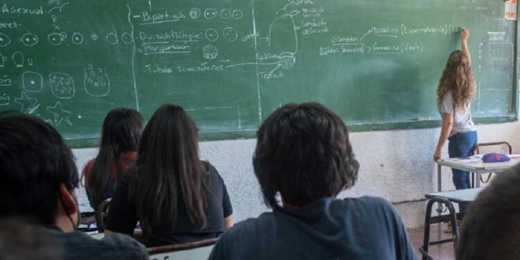 Lanzan relevamiento nacional de personal educativo para mejorar políticas docentes