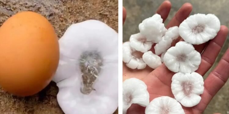 Granizo del tamaño de un huevo causa daños en Huanguelén tras intensa tormenta en Coronel Suárez