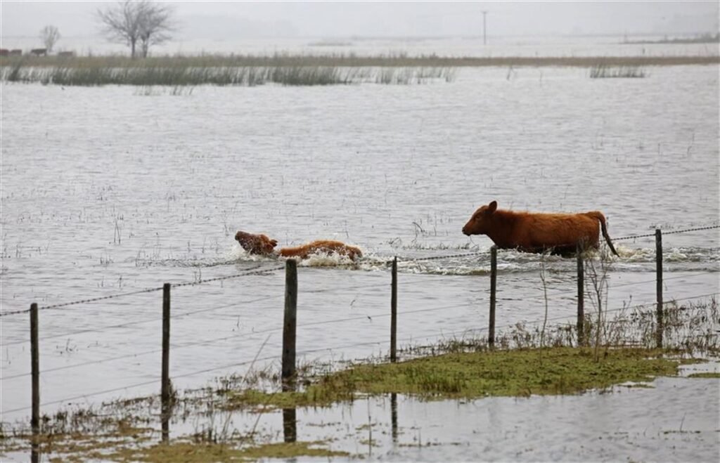 El Gobierno lanzará un operativo en 9 de Julio para enfrentar la crisis por inundaciones