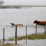 El Gobierno lanzará un operativo en 9 de Julio para enfrentar la crisis por inundaciones