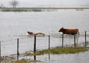 El Gobierno lanzará un operativo en 9 de Julio para enfrentar la crisis por inundaciones