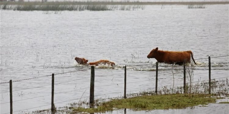 El Gobierno lanzará un operativo en 9 de Julio para enfrentar la crisis por inundaciones