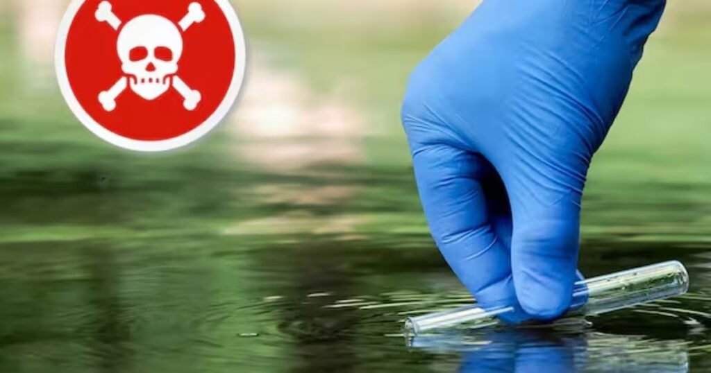 Descuentos en farmacias: Cuenta DNI ofrece hasta 10% en noviembre y más promociones activas