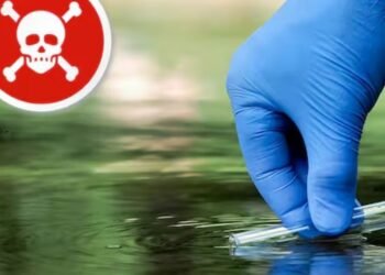 Descuentos en farmacias: Cuenta DNI ofrece hasta 10% en noviembre y más promociones activas