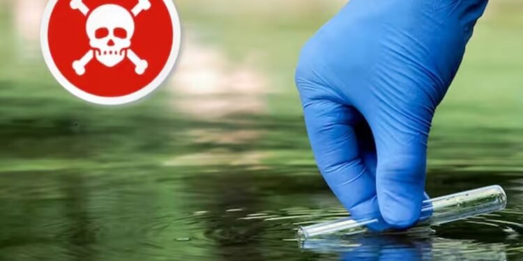 Descuentos en farmacias: Cuenta DNI ofrece hasta 10% en noviembre y más promociones activas