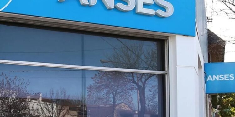 ANSES: ¿Cómo comprobar cuánto se cobra en noviembre y cuándo son los pagos?