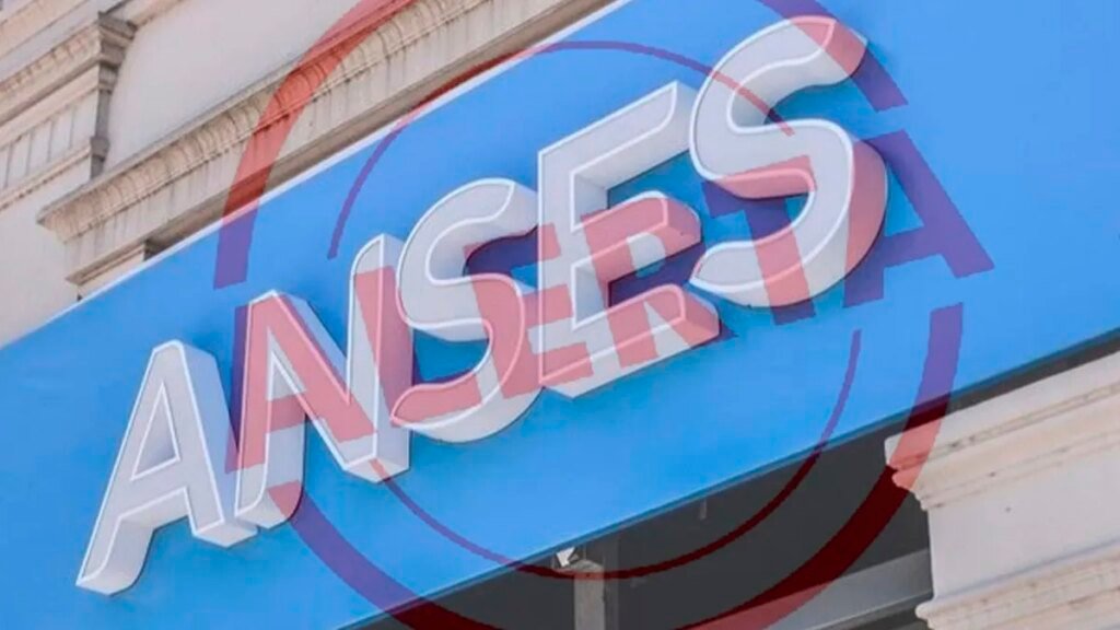 ANSES: ¿Cuánto se cobrará por el refuerzo en la AUH y la Tarjeta Alimentar en noviembre?