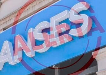 ANSES: ¿Cuánto se cobrará por el refuerzo en la AUH y la Tarjeta Alimentar en noviembre?