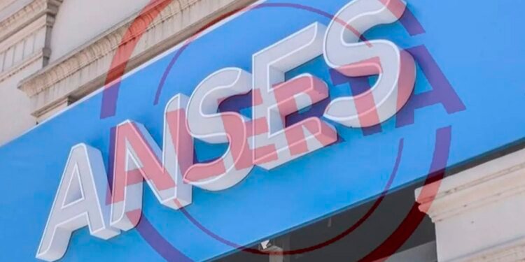 ANSES: ¿Cuánto se cobrará por el refuerzo en la AUH y la Tarjeta Alimentar en noviembre?
