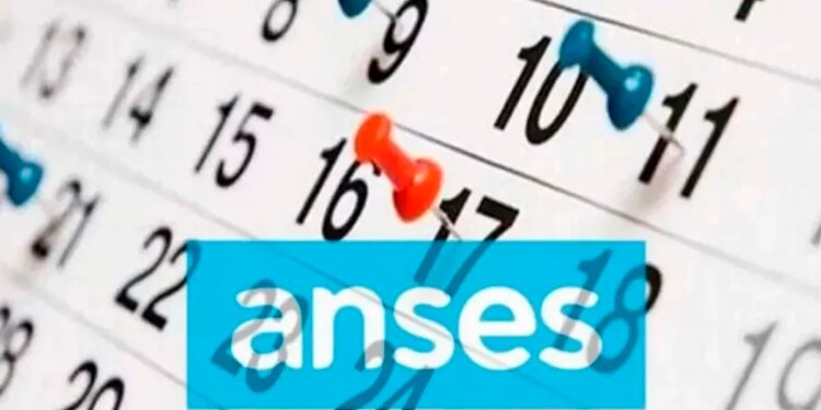 Se confirmó el pago del bono extraordinario: quiénes lo recibirán en diciembre