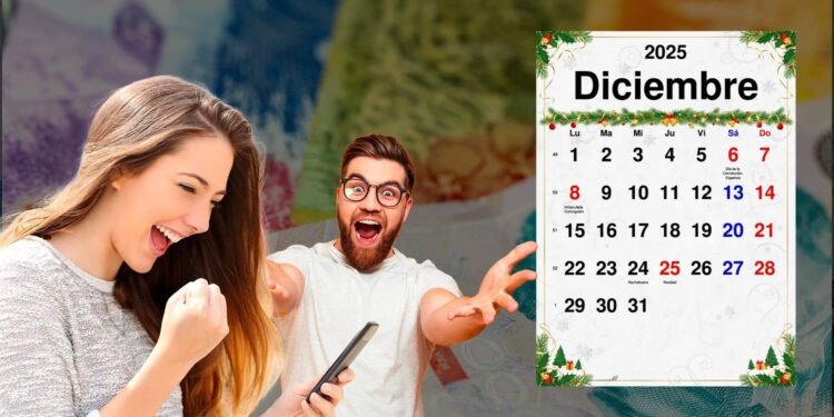 Aguinaldo y aumentos: ¿cuánto cobrarán los jubilados de ANSES en diciembre de 2025?