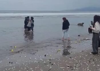 Triste adiós al joven argentino desaparecido en Chile tras concluir la búsqueda eficaz