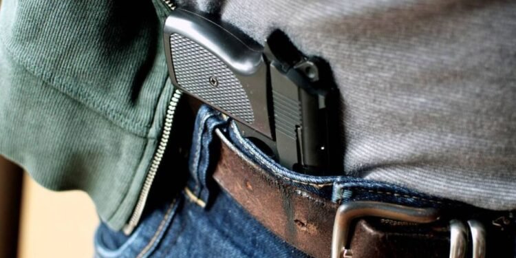 RENAR refuerza controles y requisitos para la tenencia de armas semiautomáticas