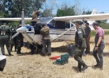 Avioneta narco abandonada en Santa Fe: perros confirman rastros de cocaína en el fuselaje