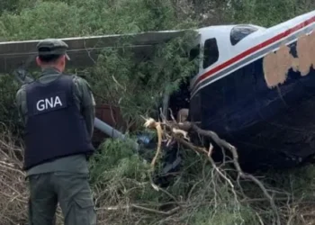Cae avioneta narco en Salta con 130 kilos de cocaína y un detenido