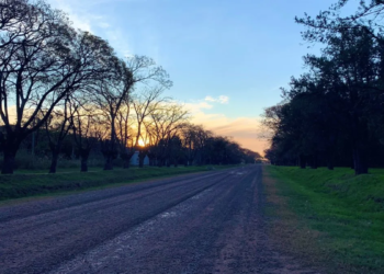 Descubrí Berdier: el rincón oculto de Buenos Aires para el turismo de cercanía