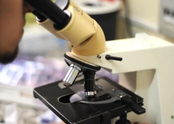 Alerta en la Provincia de Buenos Aires por el aumento de Enfermedades de Transmisión Sexual