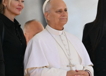 El Papa pide más tiempo y una agenda mejor planificada para sus actividades