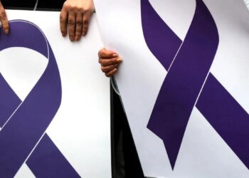 La Provincia declaró de Interés el Día Internacional de la Eliminación de la Violencia contra las Mujeres