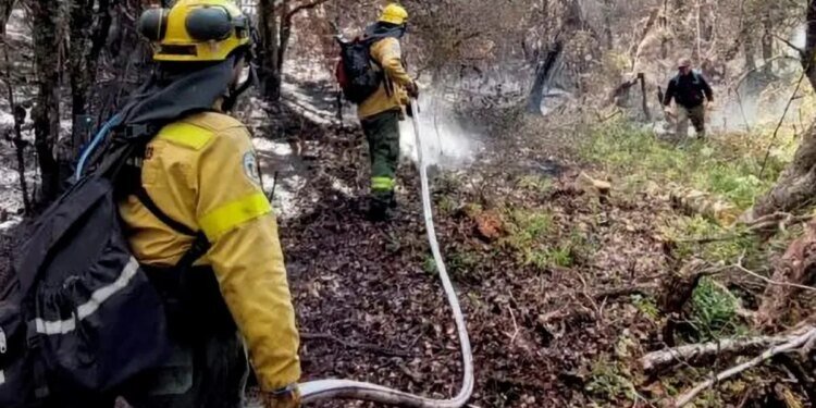 Río Negro declara emergencia ígnea y prohíbe fuego al aire libre para prevenir incendios