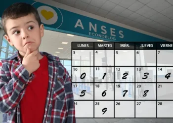 Comienzan los pagos del SUAF: cuándo se cobra cada asignación en noviembre