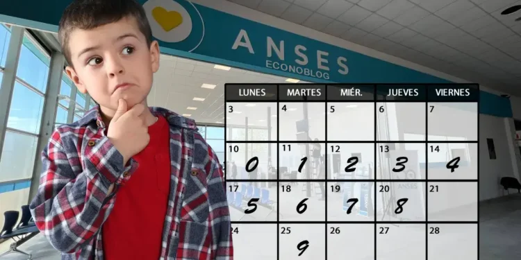 Comienzan los pagos del SUAF: cuándo se cobra cada asignación en noviembre