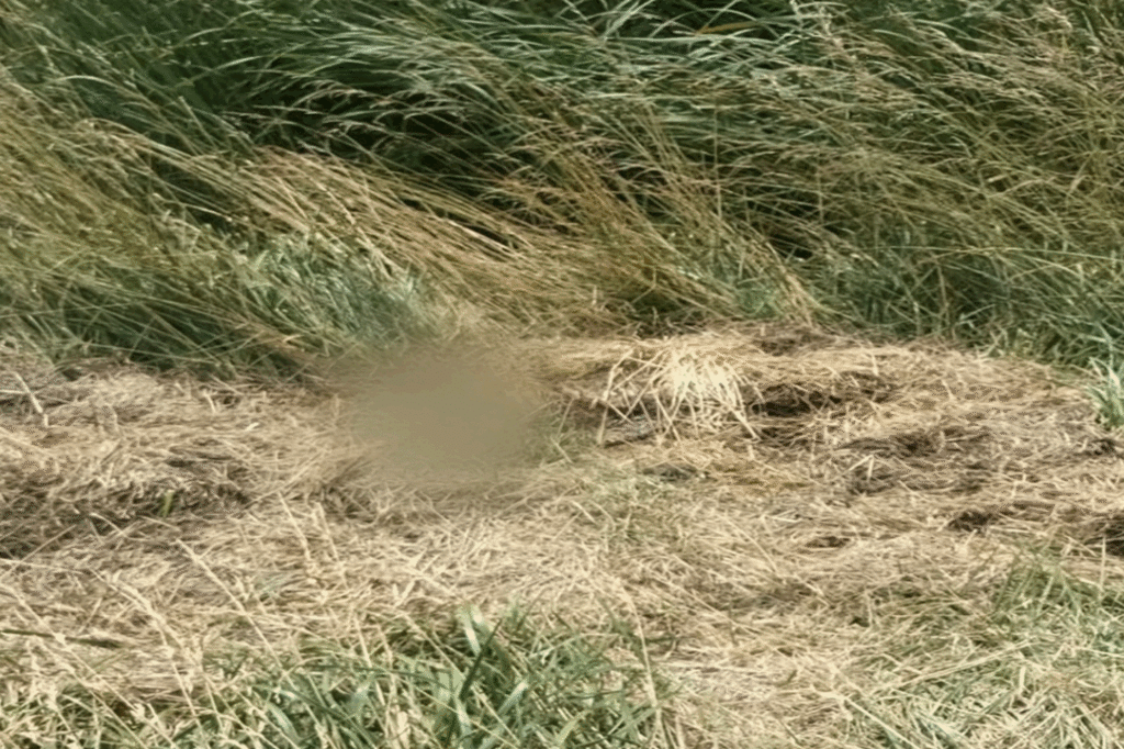 Hallan en la Ruta 3 el cuerpo de un joven que era buscado desde finales de octubre