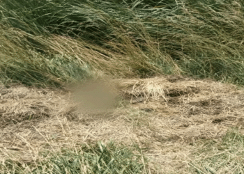 Hallan en la Ruta 3 el cuerpo de un joven que era buscado desde finales de octubre