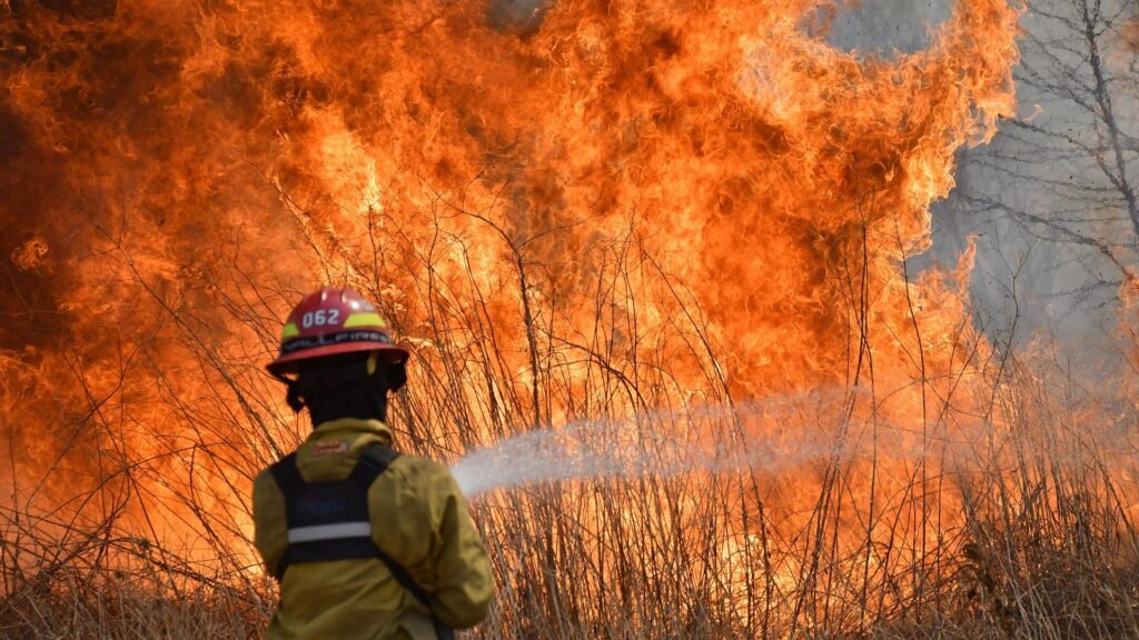 Alerta por calor extremo y vientos fuertes: el riesgo de incendios se dispara en Buenos Aires