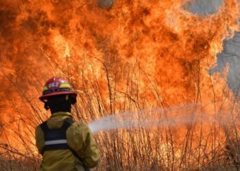 Alerta por calor extremo y vientos fuertes: el riesgo de incendios se dispara en Buenos Aires