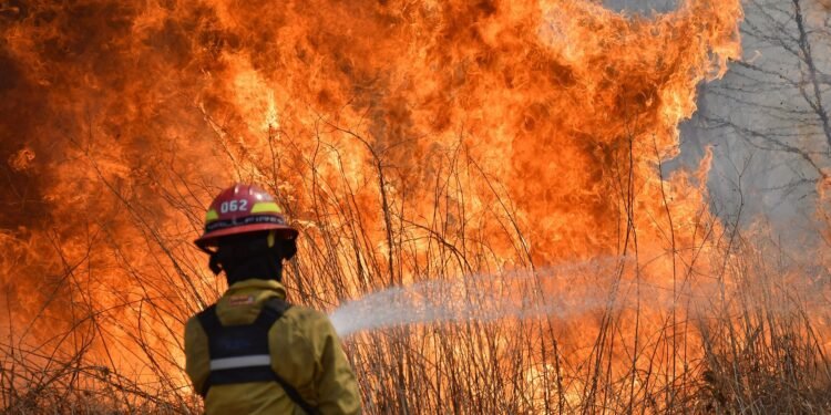 Alerta por calor extremo y vientos fuertes: el riesgo de incendios se dispara en Buenos Aires