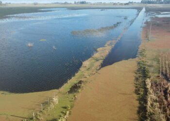 El Gobierno bonaerense destina $130 mil millones al Nodo Bragado, clave para el agua