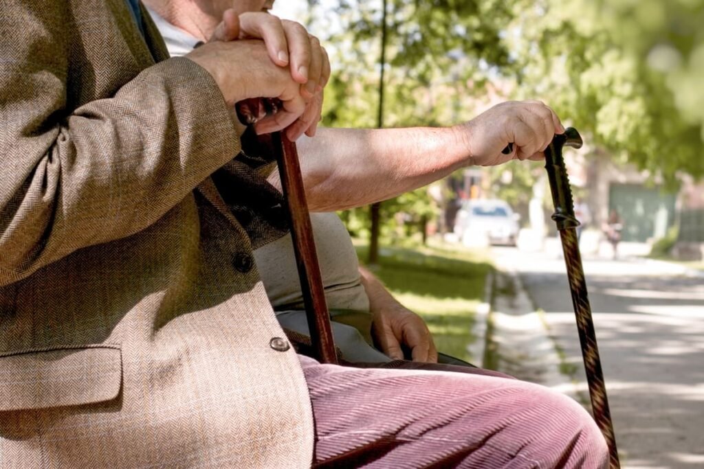 Se confirmó el calendario de pagos de Anses para noviembre y PUAM