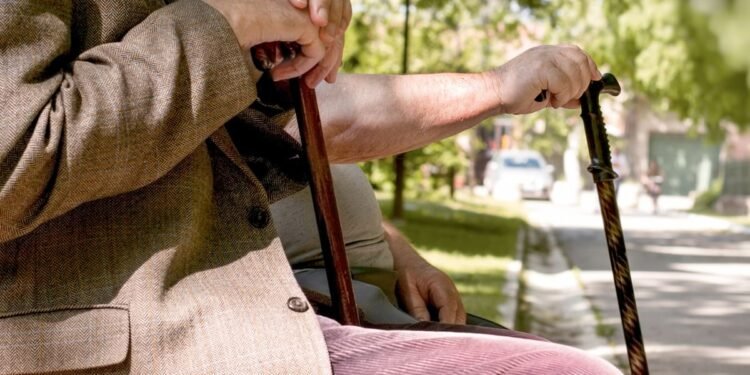 Se confirmó el calendario de pagos de Anses para noviembre y PUAM