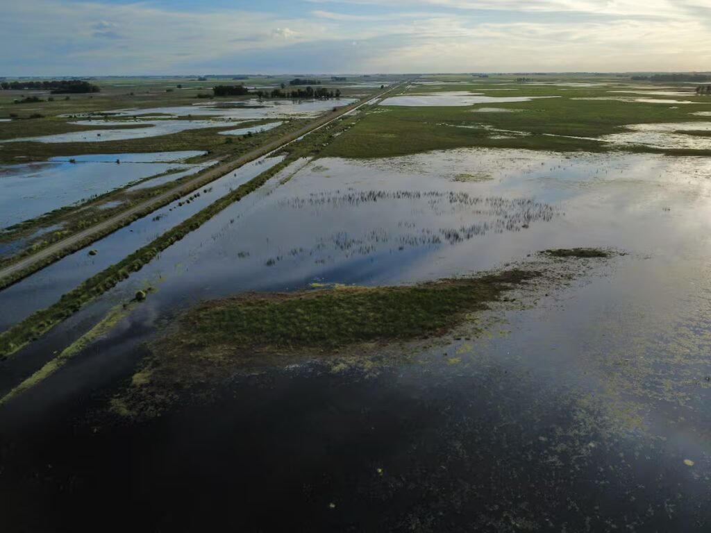 Banco Nación ofrece créditos a productores afectados por inundaciones en Buenos Aires