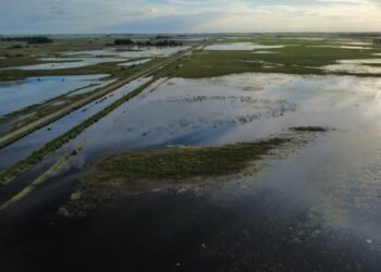 Banco Nación ofrece créditos a productores afectados por inundaciones en Buenos Aires