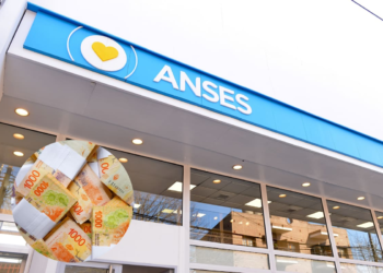 Anses: ¿Cuándo se cobra la nueva prestación social en noviembre? Descubre los detalles aquí