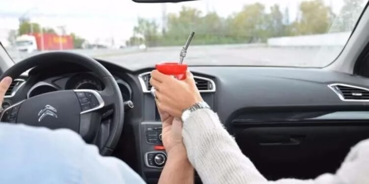 Las provincias multan por tomar mate al volante: la conducción segura en juego