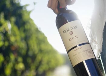 Bodega Norton enfrenta crisis financiera y solicita concurso preventivo