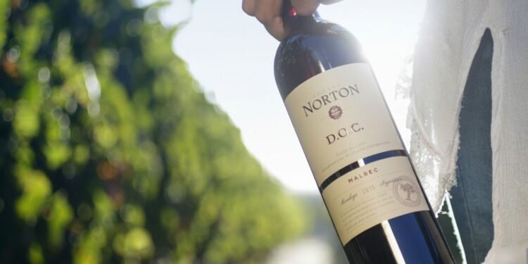 Bodega Norton enfrenta crisis financiera y solicita concurso preventivo