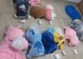 Detuvieron a pasajera en Tucumán con peluches rellenos de más de 2 kilos de cocaína
