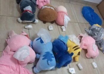 Detuvieron a pasajera en Tucumán con peluches rellenos de más de 2 kilos de cocaína