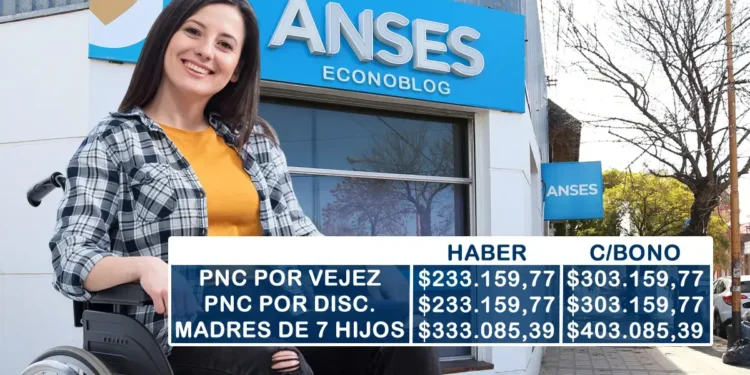 Se confirmaron los nuevos montos de las pensiones no contributivas en noviembre