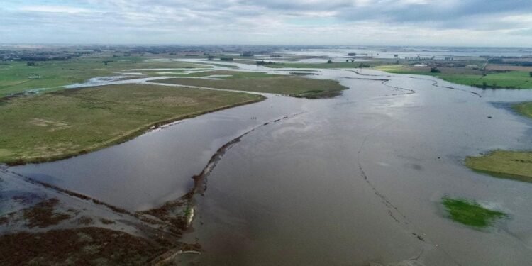 Inundaciones en Buenos Aires causan US$ 2.400 millones en pérdidas agropecuarias