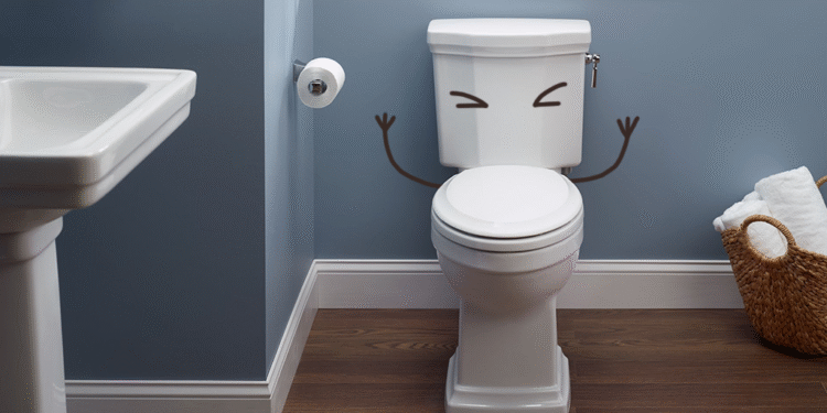 El Día Mundial del Inodoro destaca su papel vital en la salud pública y el saneamiento global