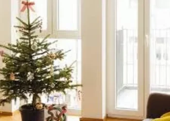 Navidad 2025: armar el árbol cuesta entre $30.000 y $100.000, un lujo para pocos