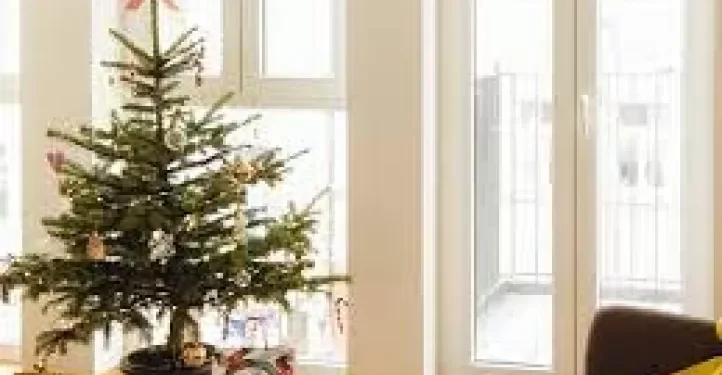 Navidad 2025: armar el árbol cuesta entre $30.000 y $100.000, un lujo para pocos